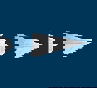 Innovation Strategy 1