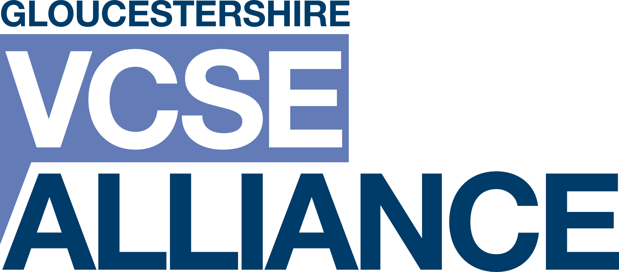 VCSE Alliance