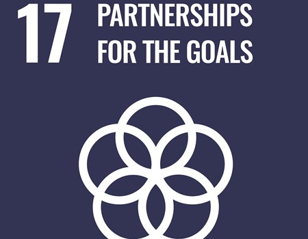 UN SDG 17